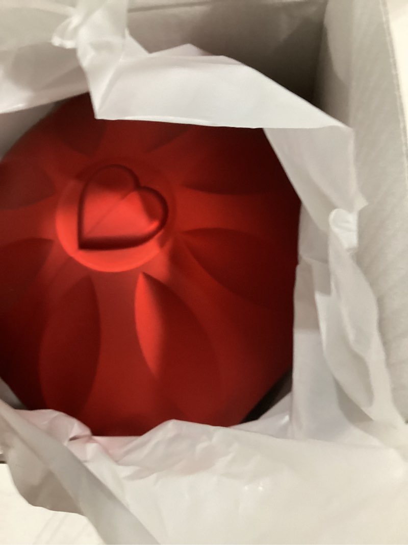 Condition photo showing Good Condition for Preserved Red Rose with Heart Necklace, Eternal Real Rose, Romantic Rose Gifts for Women, Mom, Wife, Girlfriend, Mothers Day, Valentines Day, Anniversary, Birthday(Red)