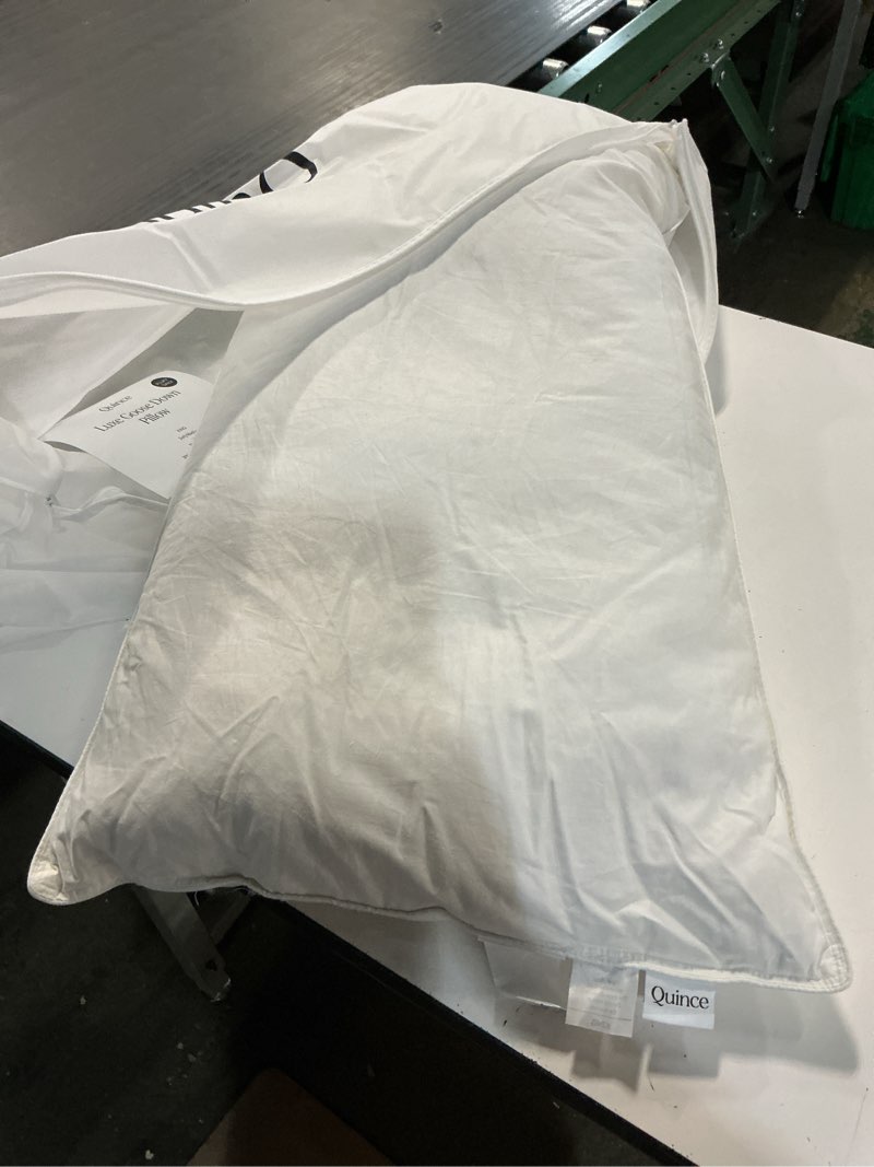 Condition photo showing Good Condition for luxe goose down pillow, king, soft/medium