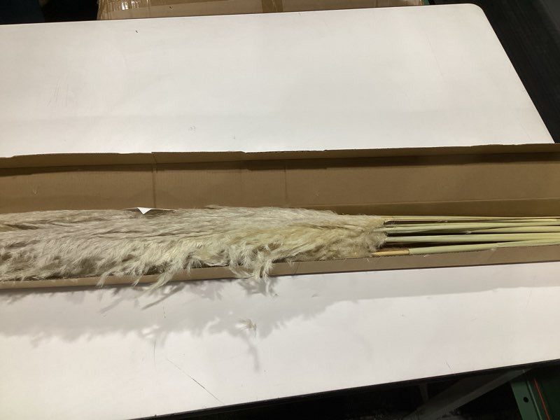 Condition photo showing Good Condition for 46" inch 11 Stems Natural Pampas Grass Tall Decor,Pompas Grass,Large Borwn Tall Pampas Grass for Floor Vase,Wedding Decorations,Party,Boho Home Decor,and Creating a Boho Ambiance 46inch-11pcs Brown