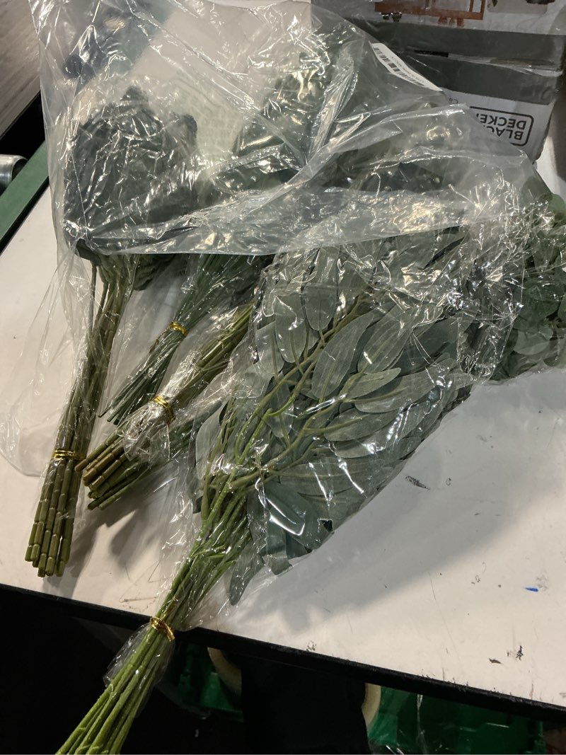 Condition photo showing Good Condition for 120 pcs 4 kinds mixed artificial eucalyptus leaves stems bulk fake silver dollar eucalyptus bundle faux plants greenery for diy bouquets floral arrangement wedding engagement party decor (green)