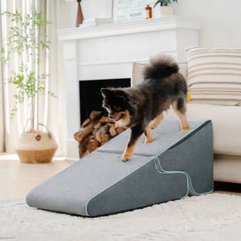 dog ramp