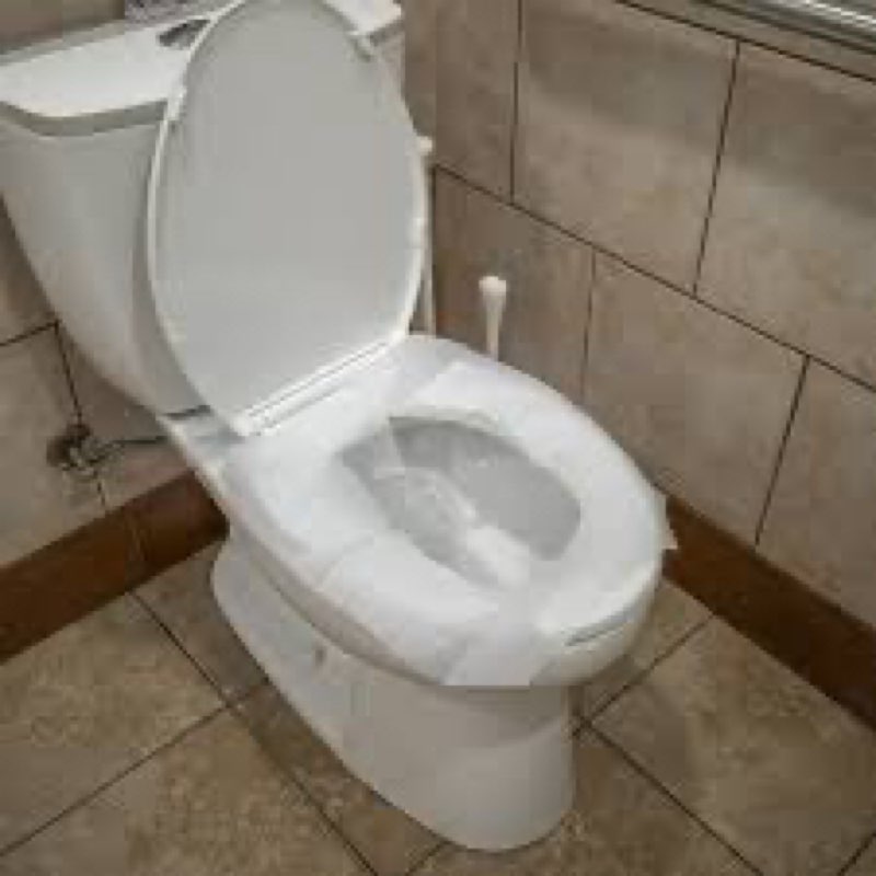 Toilet Seat  Flushable 250 Sheets