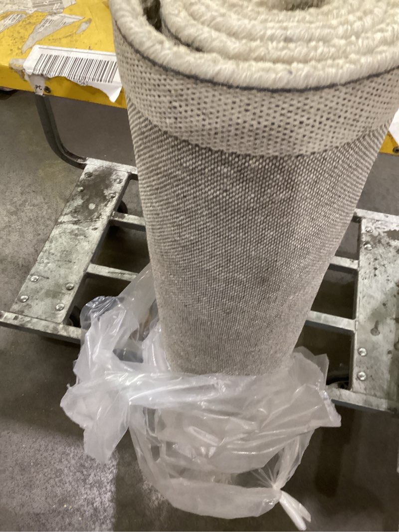 Condition photo showing New/Like New for Rizzy Home | AL2573 | Ashlyn Collection | Wool Area Rug | 3' x 5' | Blue/Ivory Border