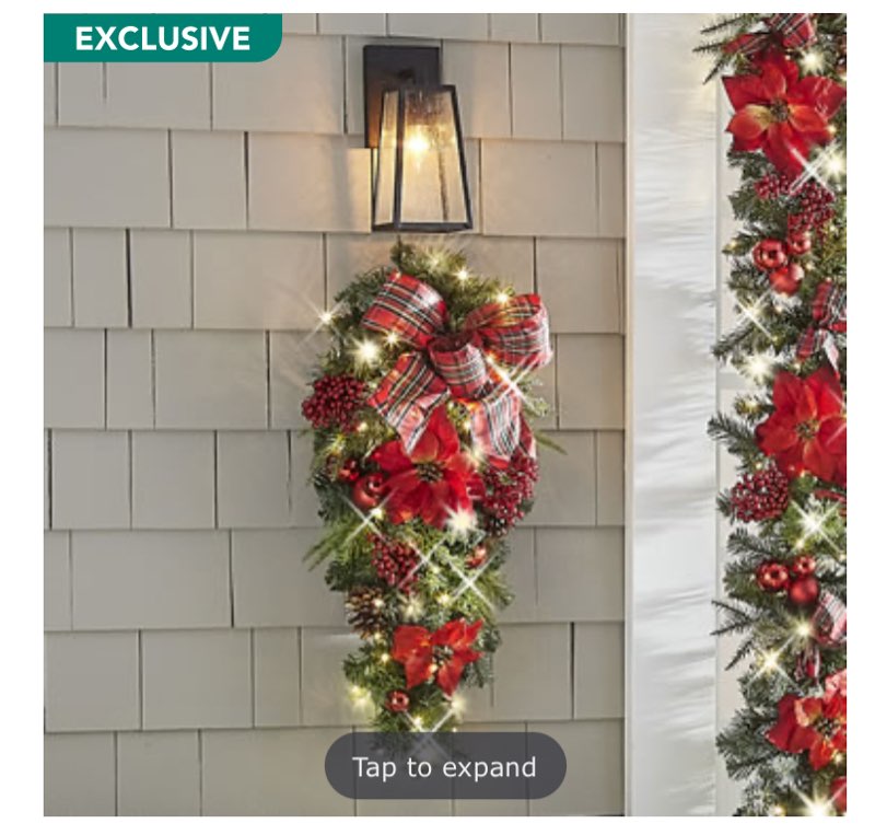 The Cordless Prelit Poinsettia And Ribbon Holiday Trim