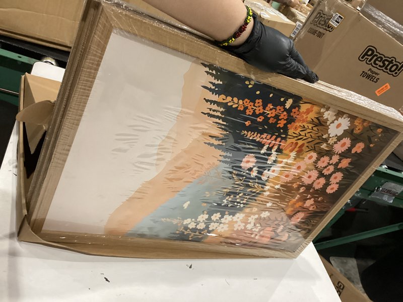 Condition photo showing New/Like New for iafwzx wood framed mountain wildflower sunset wall art, colorful daisy floral wall decor, boho wildflower canvas paintings, vintage nature botanical aesthetic pictures for living room 16"x24"x3 daisy(wood) 24"l x 16"w