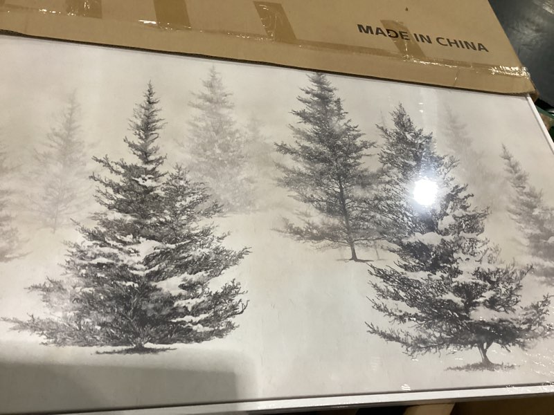 Condition photo showing Good Condition for framed black and white forest landscape wall art, modern minimalist pine tree canvas art prints, contemporary nature pictures wall decor for living room bedroom dining room hallway office 24x36 in 36"l x 24"w black and white pine tree