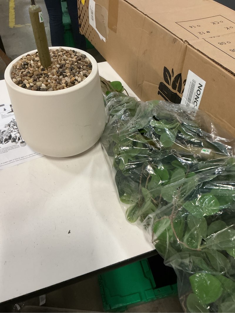 Condition photo showing As Is for (similar product)faux black olive tree 6ft,artificial tall plant with white planter and stone,potted fake tree with natural trunk,artificial plants indoor for home office living room corner decor black olive tree green