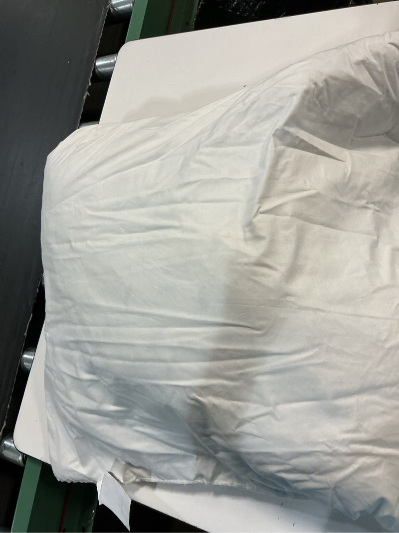 Condition photo showing As Is for premium feather pillow insert (set of 2), 22x22, no color