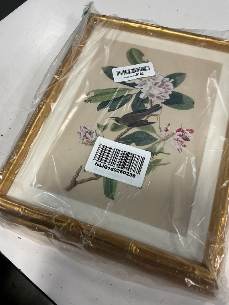 Condition photo showing Good Condition for picture frames 2 pack