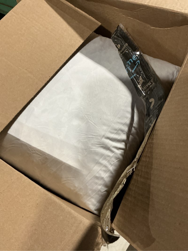 Condition photo showing As Is for (only one piece )saro lifestyle down feather pillow insert, white, 19\"x19\" white 19\"x19\"