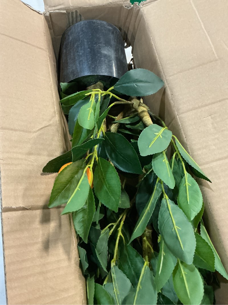 Condition photo showing As Is for artificial orange tree 4ft fake fruits plant in pot large fake floor plants faux trees indoor orange decorations for home living room office 2ft 7in