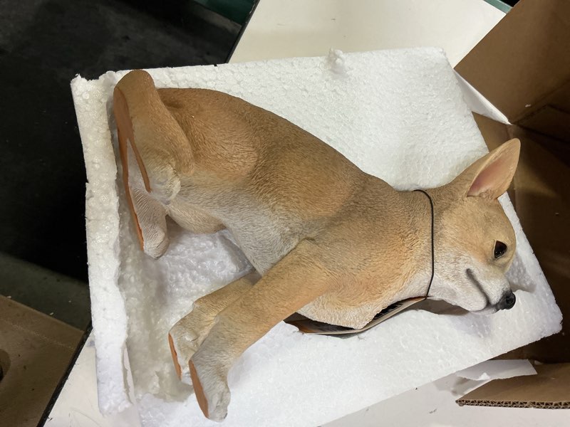 Condition photo showing Good Condition for hi-line gift ltd chiwawa dog statue