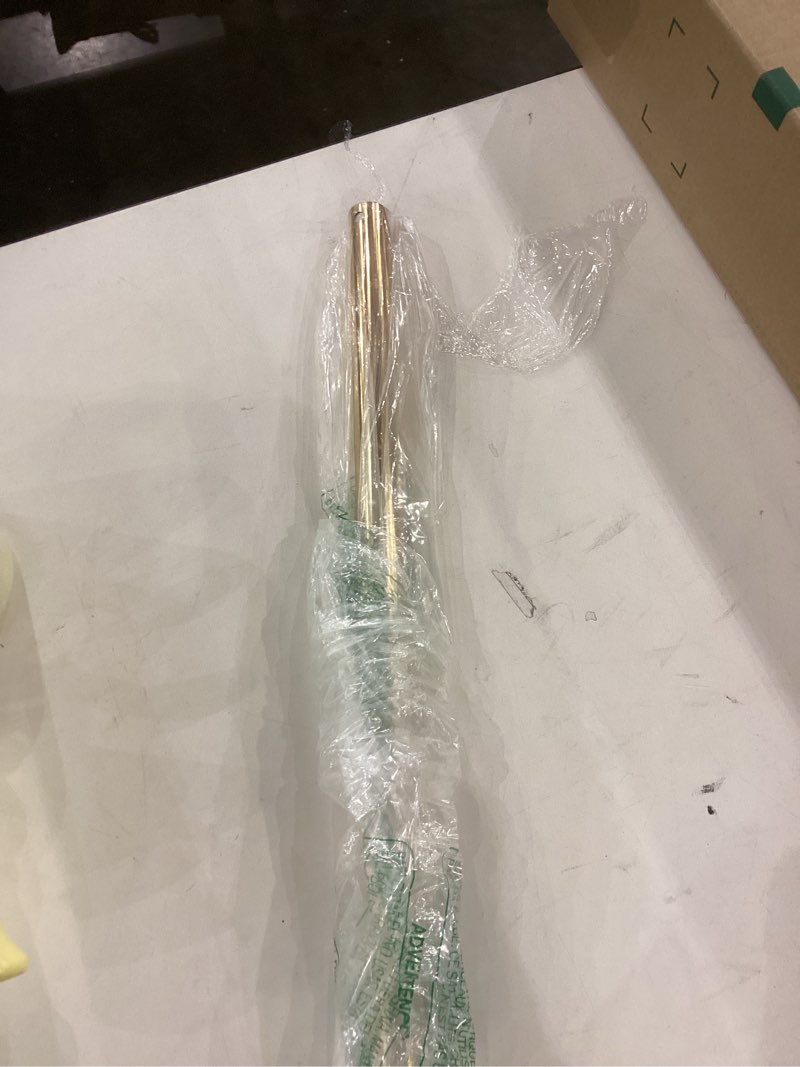 Condition photo showing As Is for Golden rod