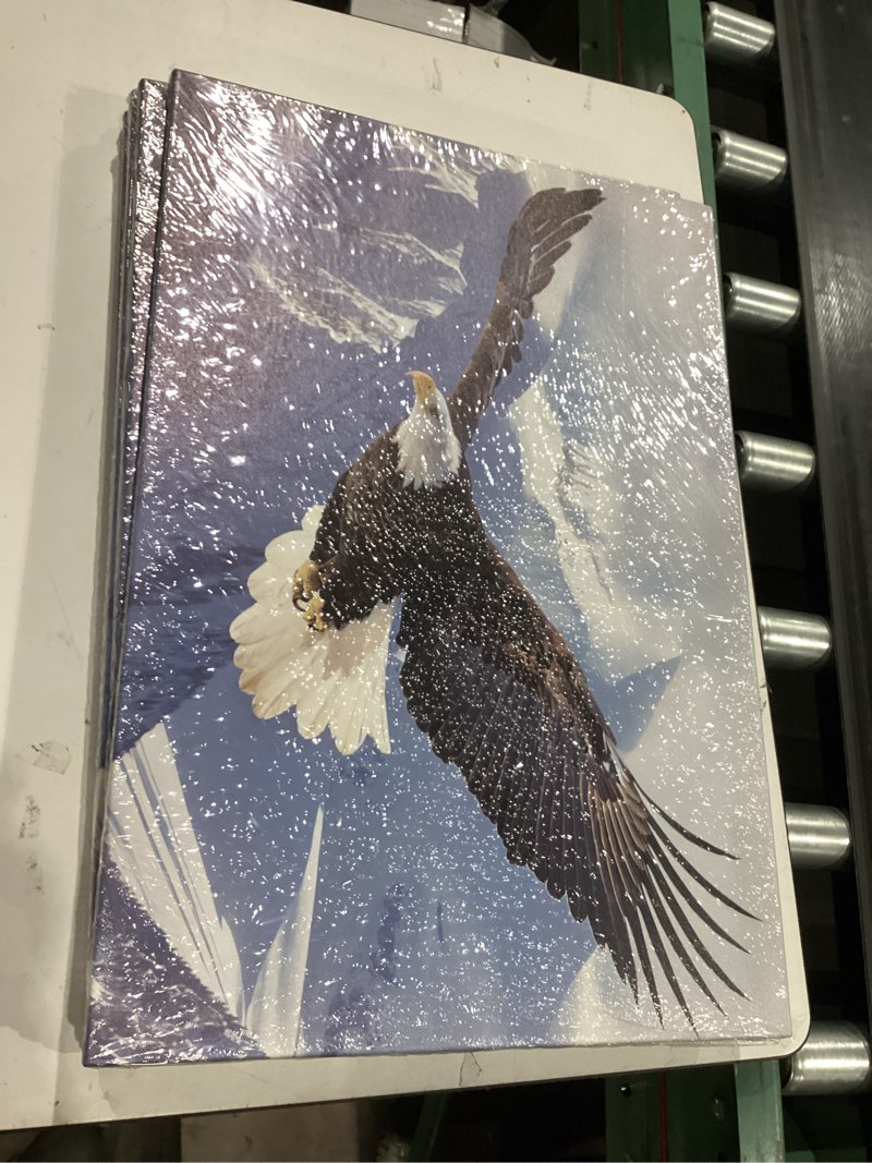 Condition photo showing New/Like New for qixiang eagle canvas prints wall art flying eagle pictures large bird wildlife poster western animal artwork for home decor framed (eagle,16.00" x 24.00") eagle 16"l x 24"w