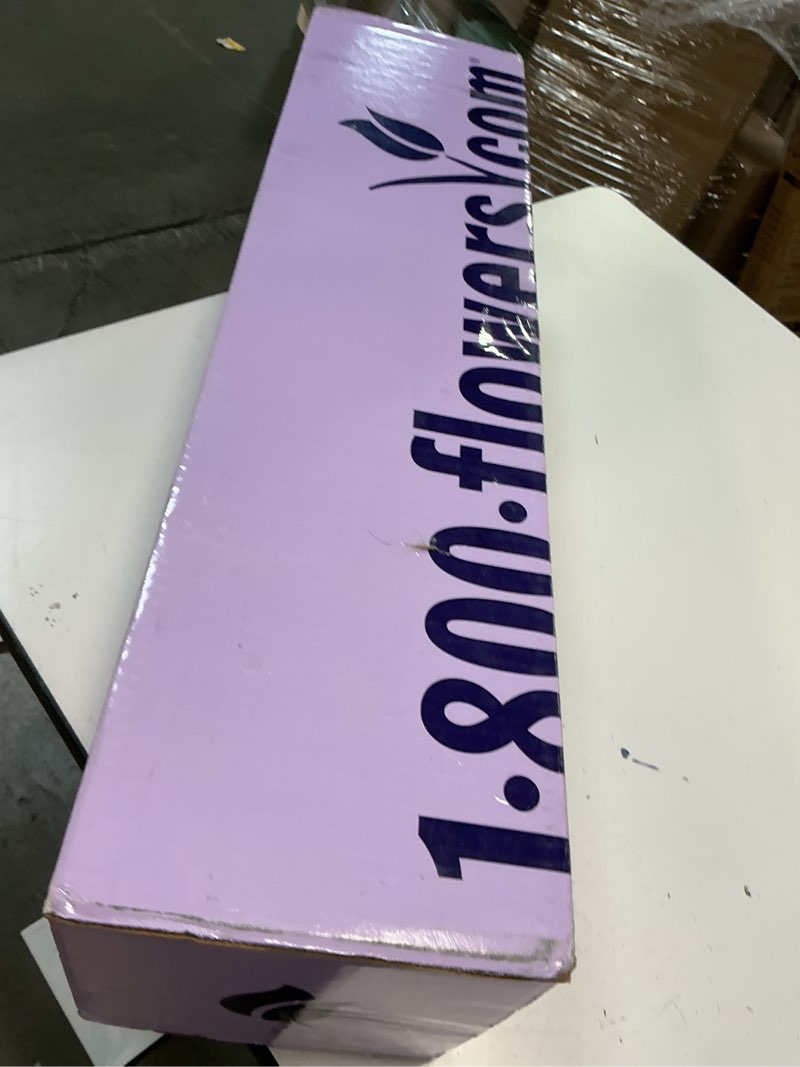 https://lotting-media.assets.bidfta.com/lotting_ca0b78ea-77ba-45e9-96c2-fbf2cdf5eeac