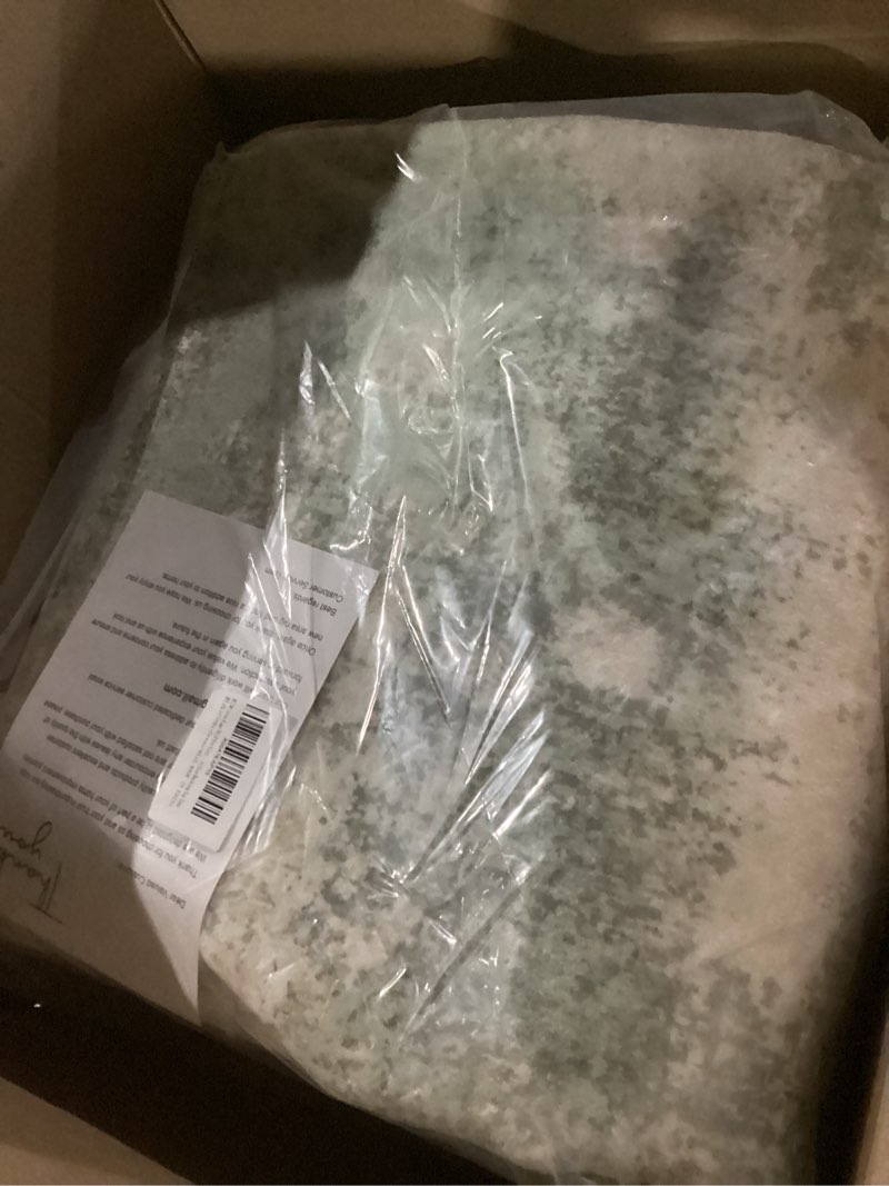 Condition photo showing New/Like New for area rugs 8x10 for living room bedroom, modern abstract machine washable large light green rug soft rug, low pile floor carpet with non slip backing for dining room light green/cream 8' x 10' (rectangular)