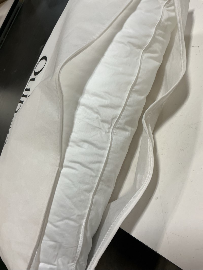 Condition photo showing Good Condition for premium down pillow king