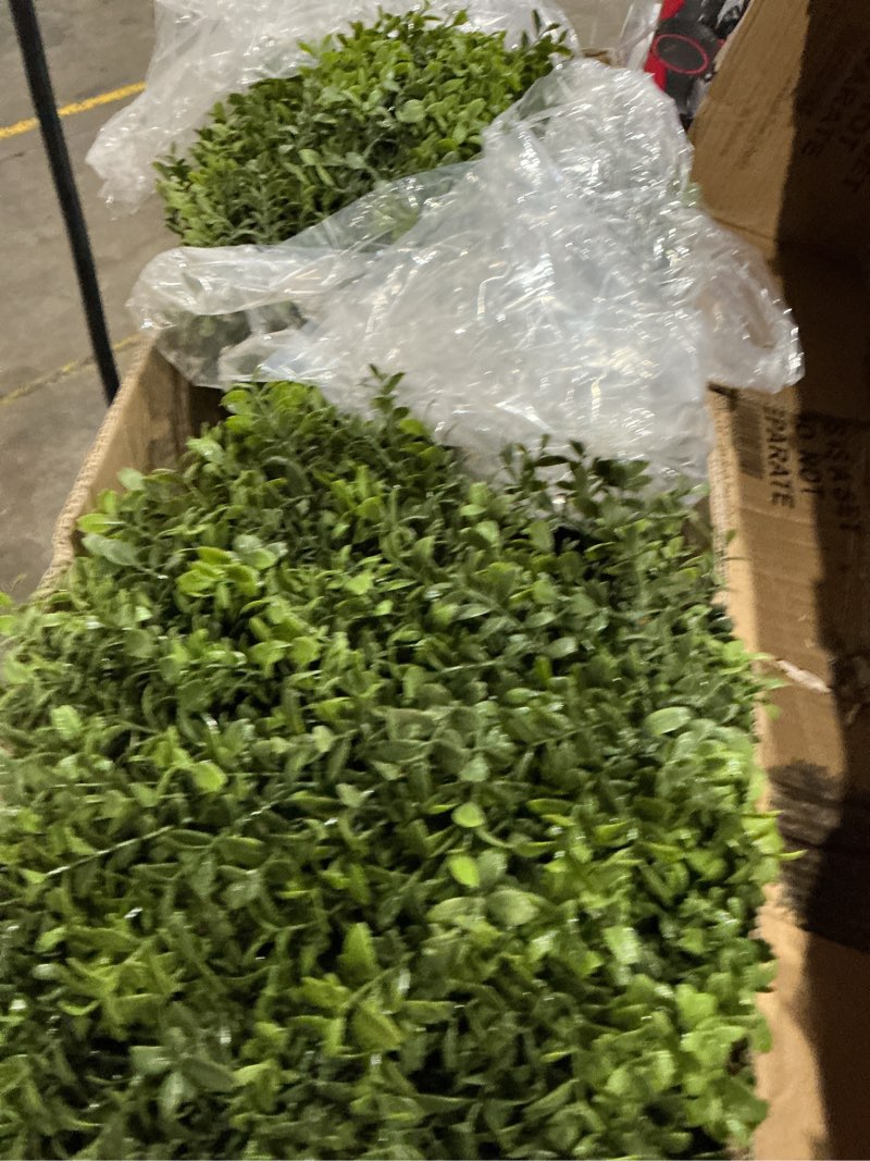 Condition photo showing Good Condition for all season green 2't 18''w boxwood ball artificial topiary trees potted faux outdoor plants for home porch decor set of 2