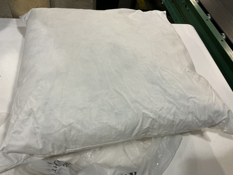 Condition photo showing As Is for premium feather pillow insert ( 1  pack ), 22x22, no color