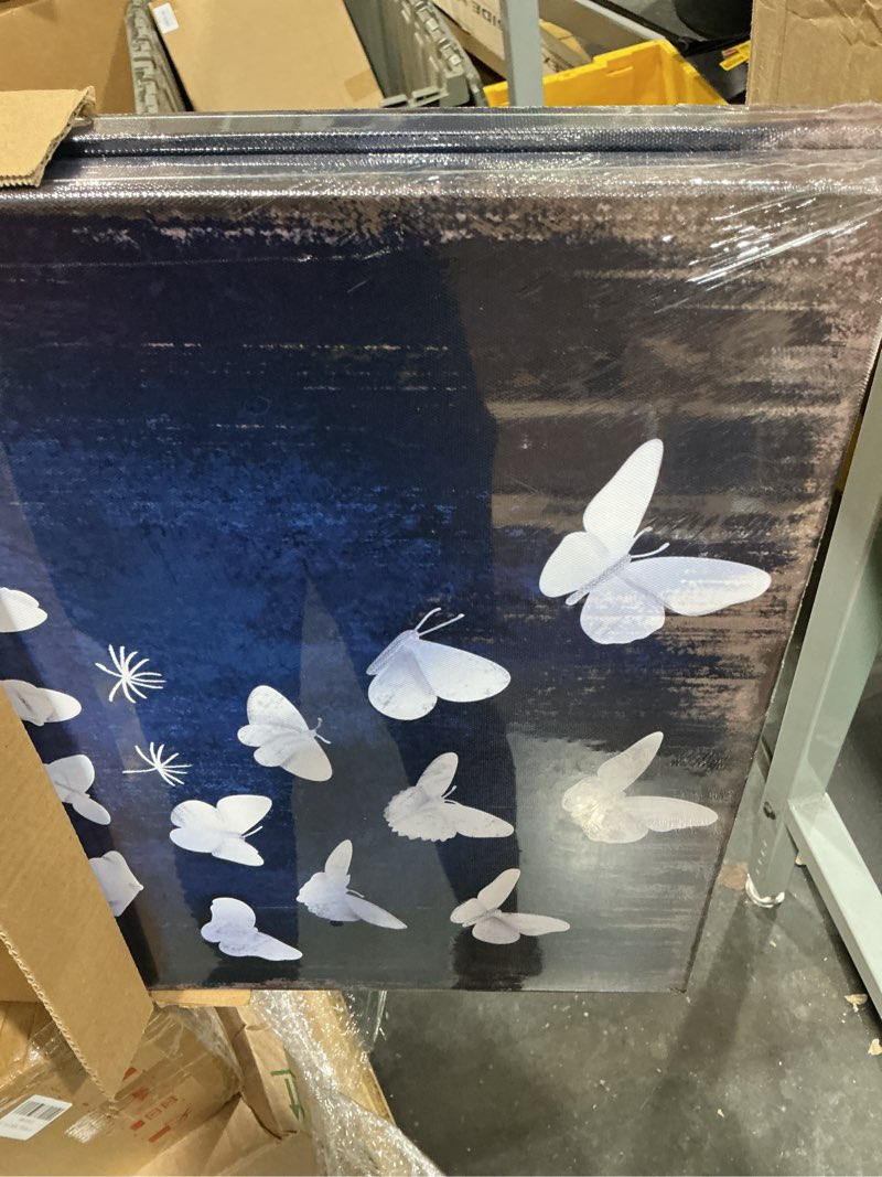 Condition photo showing As Is for ihappywall 2 pieces rustic navy dandelion butterfly canvas wall art wish flowers picture artwork for bathroom bedroom home decor ready to hang 16x24inchx2pcs (blue and white)