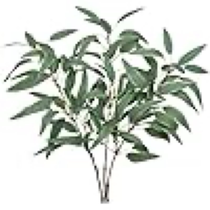 2package ))))Faux Eucalyptus Stems Willow Eucalyptus LeavesFake Salix Leaves 3 Pcs Artificial Greenery Stems for DIY Bouquet Arrangements Centerpieces Shower Decorations-Artificial Eucalyptus Stems