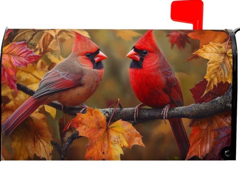 Autumn Bird Mailbox Cover Magnetic Large Size 25.5x21 Inch Fall Red Birds with Maple Leaves Mailbox 