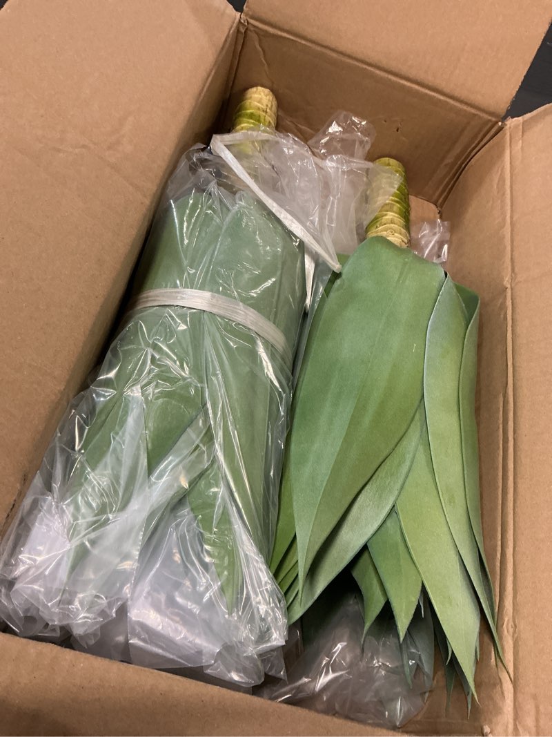 Condition photo showing Good Condition for velener artificial outdoor blue agave plant - small size uv resistant fake agave plants for indoor and outdoor decor(28 inch)-2 pack blue*2 28 inches