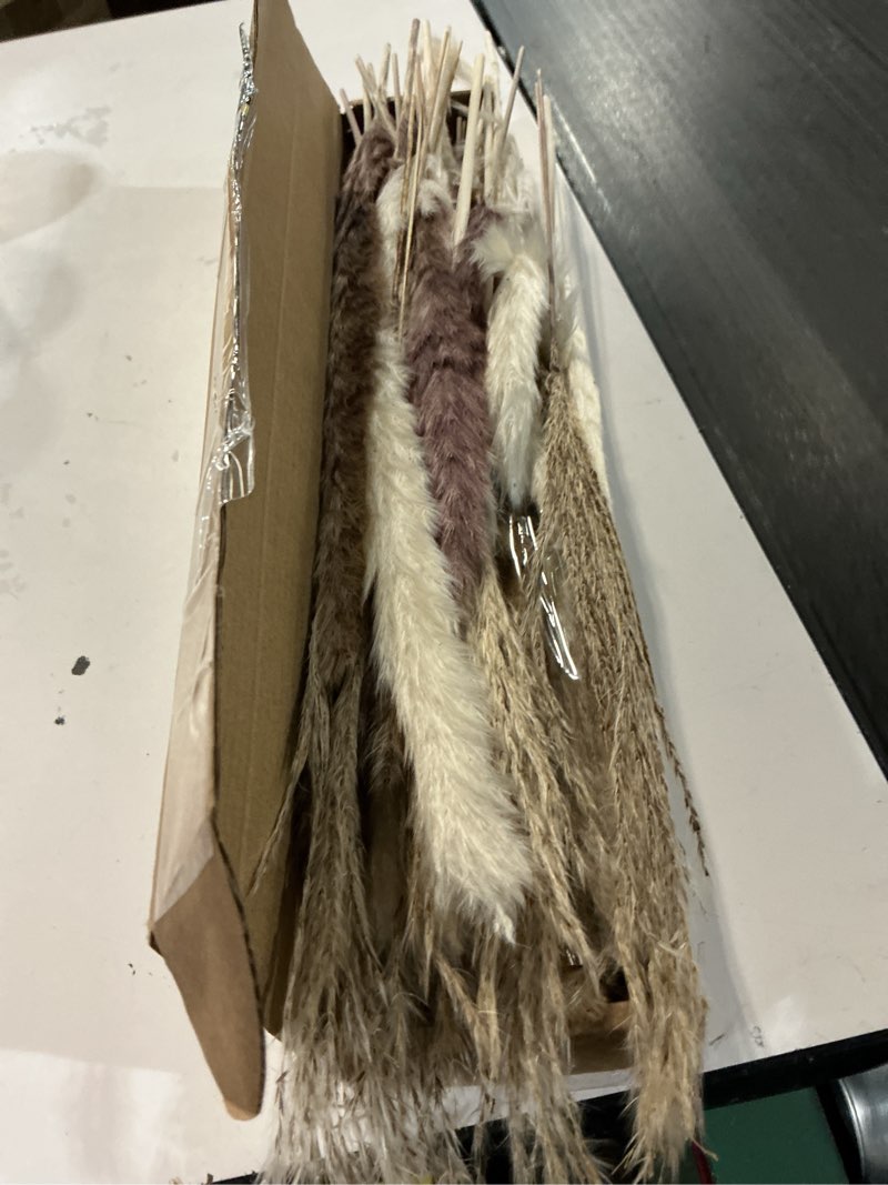 Condition photo showing Good Condition for dried pampas grass decor, 100 stems pampas grass contains bunny tails dried flowers, reed grass bouquet for wedding boho flowers home table decor, rustic farmhouse party (17", white and brown)