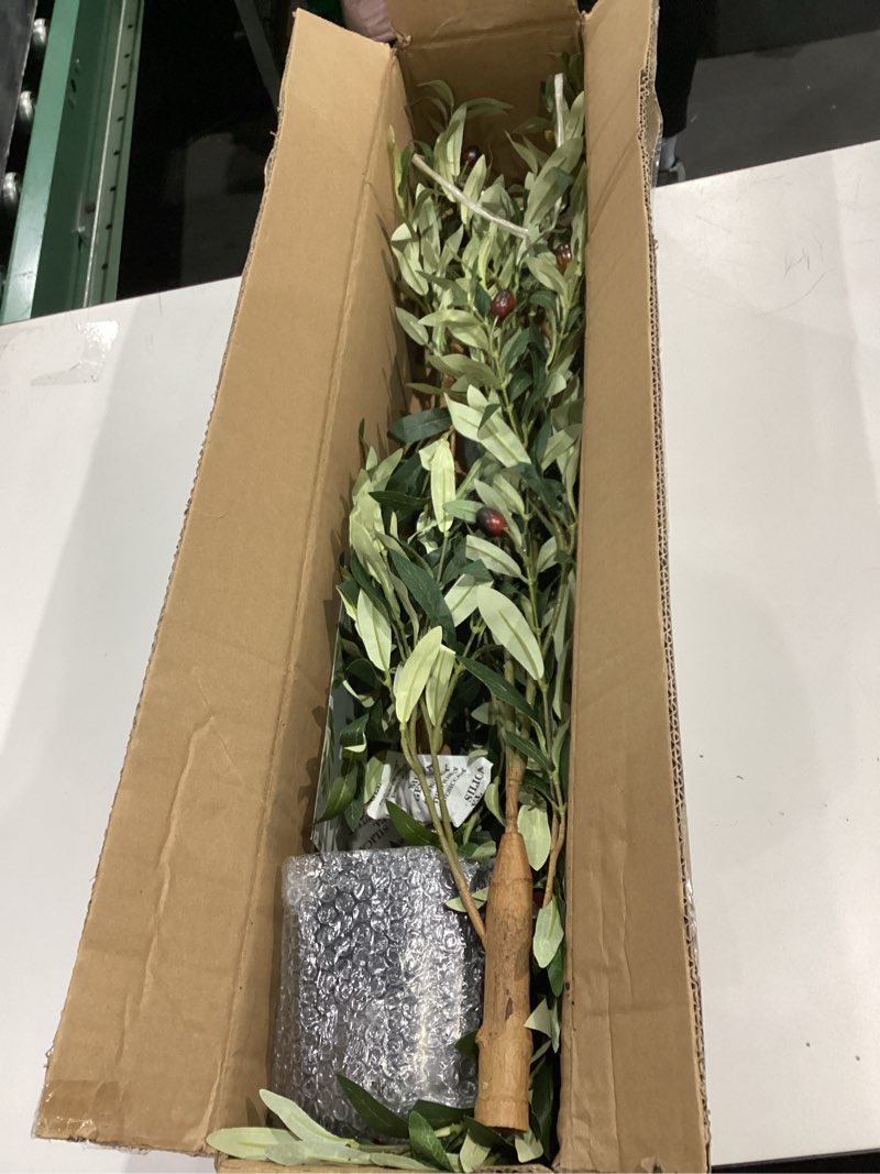 Condition photo showing As Is for Bellacat Faux Olive Tree 5ft?Olive Trees Artificial Indoor with Natural Wood Trunk and Realistic Leaves and Fruits. 5 Feet(60in) Fake Olive Tree for Home House Office Décor. 1 5ft