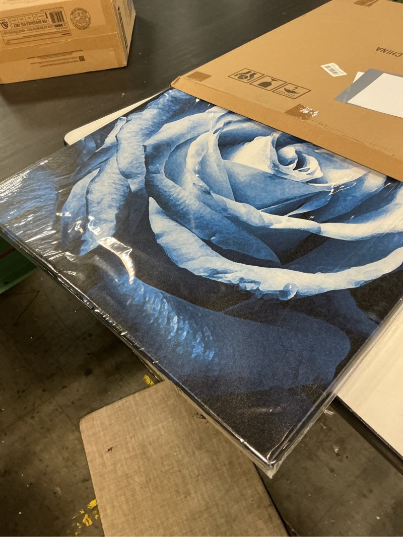 Condition photo showing Good Condition for woxfcart rose flower canvas wall art, blue floral picture decoration for living room bedroom decor 24 x 24 inch blue rose 24"l x 24"w