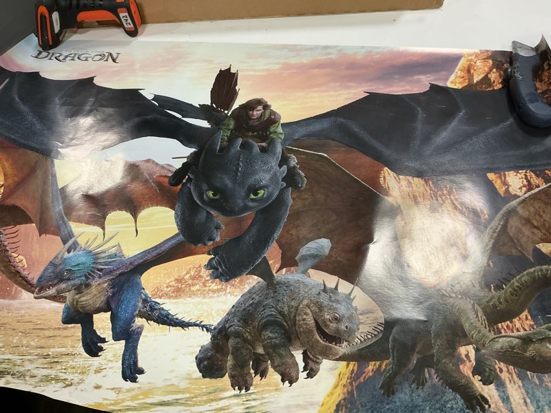 Condition photo showing Good Condition for how to train your dragon (2025) - group wall poster, 22.4l" x 14.7w", barnwood framed version barnwood framed version 22.4"l x 14.7"w