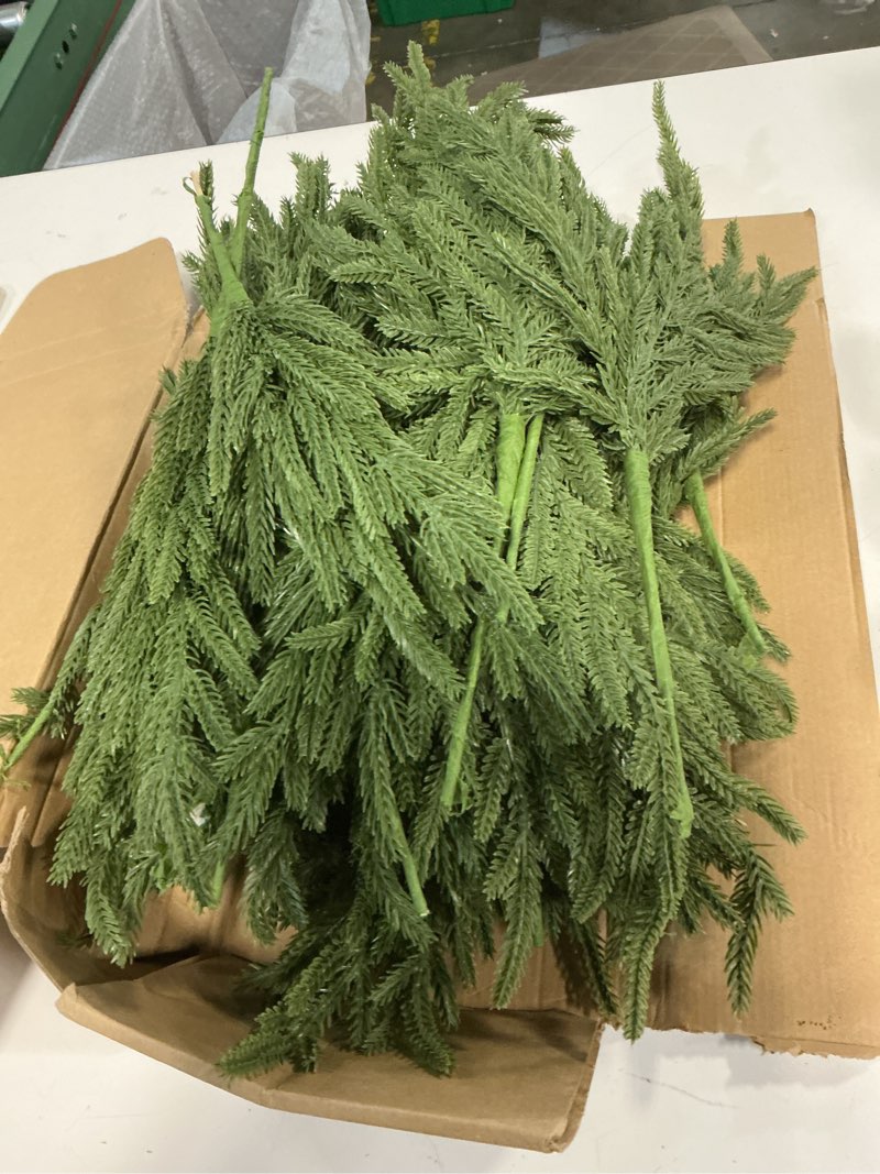 Condition photo showing Good Condition for joyhalo 32 pcs norfolk pine stems,18" artificial christmas pine branches ink greenery stem real touch cedar stems for vases,outdoor planters,christmas trees and outdoor home decor 32 packs