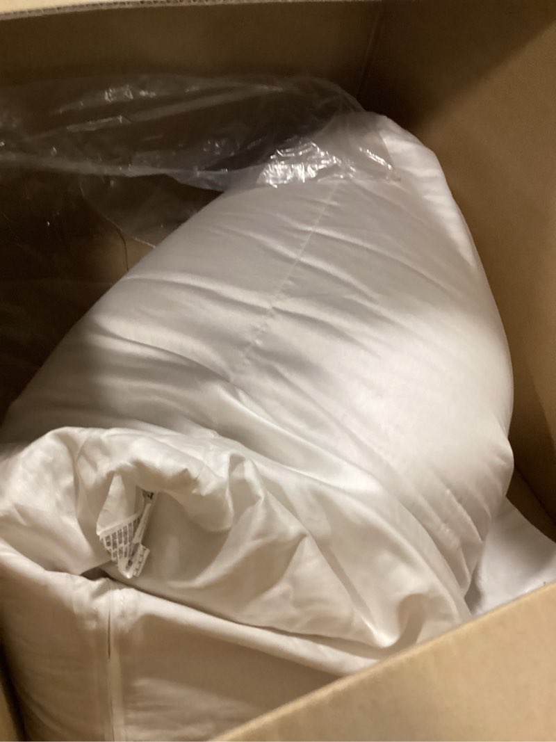 Condition photo showing As Is for Bean Products 20" x 36" King Bed Pillow for Sleeping – Organic Millet Fill with Organic Cotton Fabri