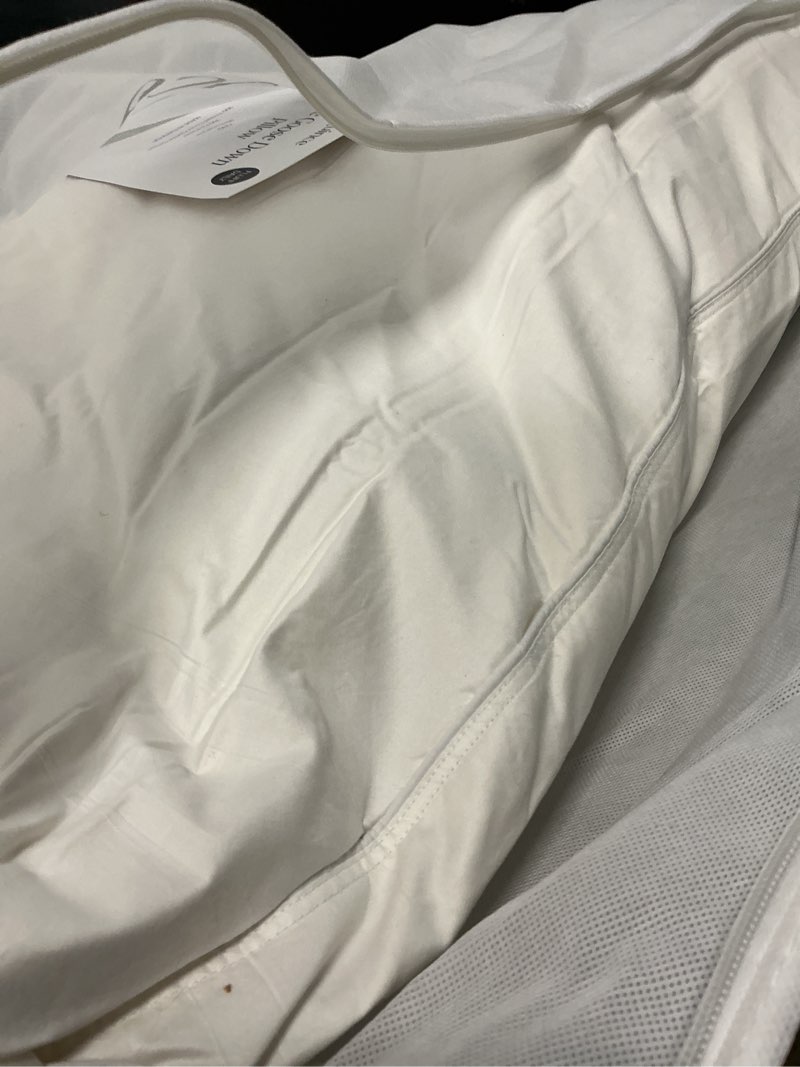 Condition photo showing Good Condition for luxe goose down pillow, king, medium/firm