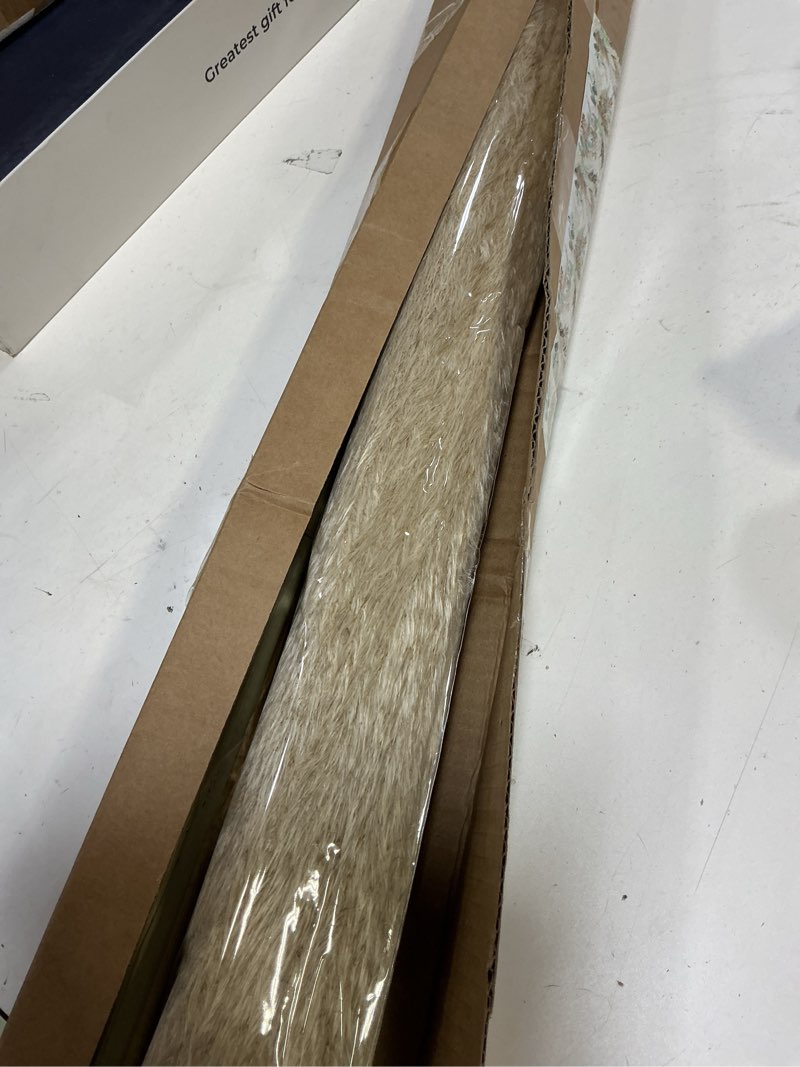 Condition photo showing Good Condition for 55inch 10pcs dried pampas grass decor tall-tall pampas grass for floor vase,brown large pompas grass floral-long fluffy pompas grass for living room,corner,farmhouse,wedding and boho home decor