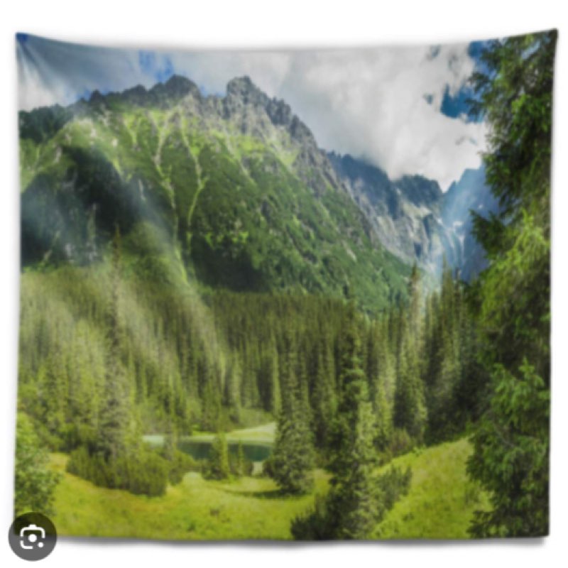 Landscape Green Small Lake Panoramic Veiw Tapestry