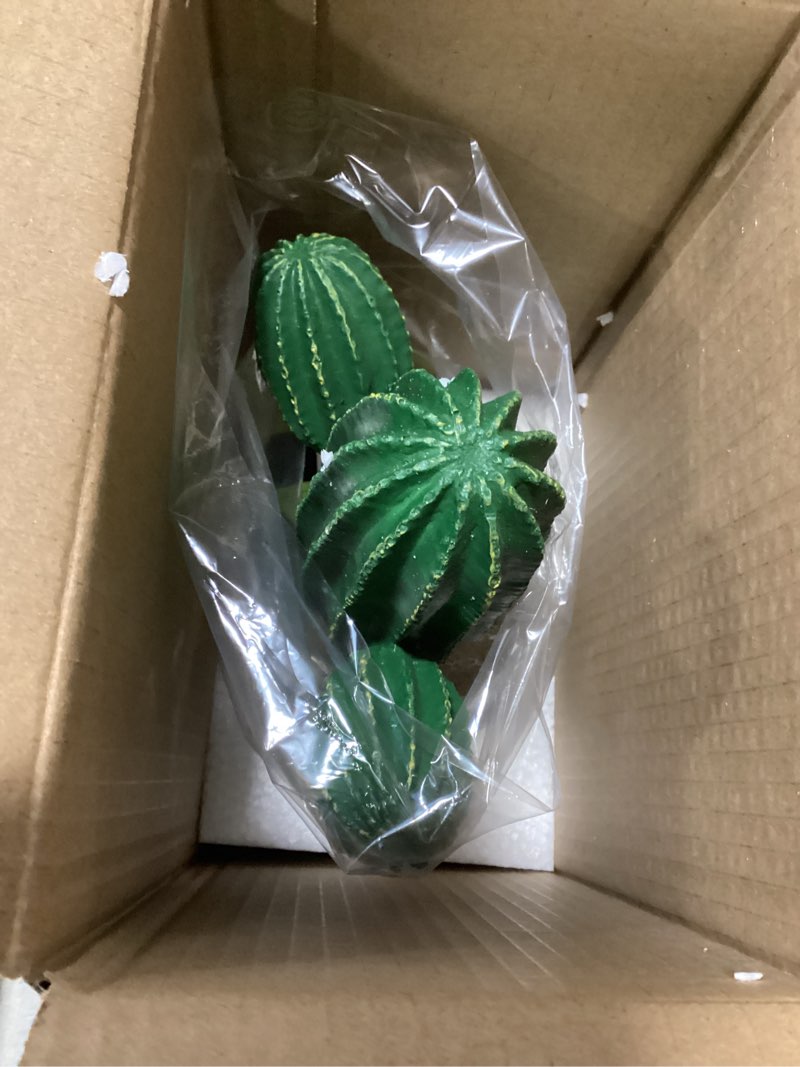 Condition photo showing New/Like New for Multi Pet 48593324: Komodo Cactus Plant Saguaro, 9.5In