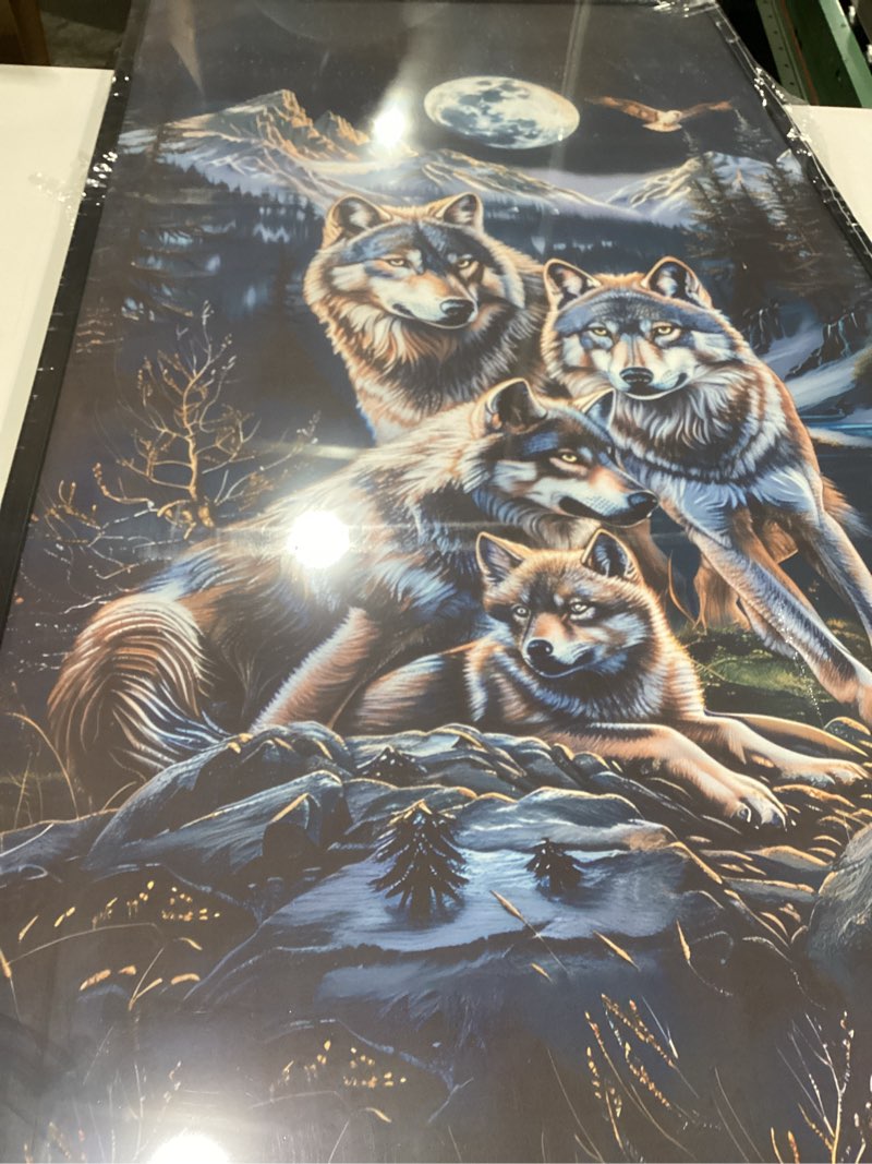 Condition photo showing New/Like New for Flintis Large Bald Eagle Framed Wall Art Forest Family Pictures Wall Decor Abstract Animal Natural Landscape Canvas Painting Print Artwork for Living Room Bathroom Master Bedroom Office 60L X 30W 60\"L x 30\"W Bald Eagle-1, SIMILAR TO STOCK PHOTO 