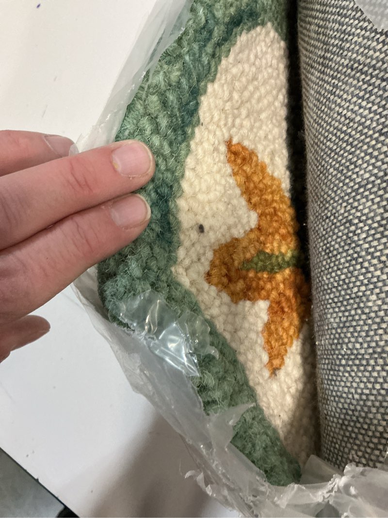 Condition photo showing Good Condition for LR Home Dazzle Area Rug, 4' Round, Teal/Green