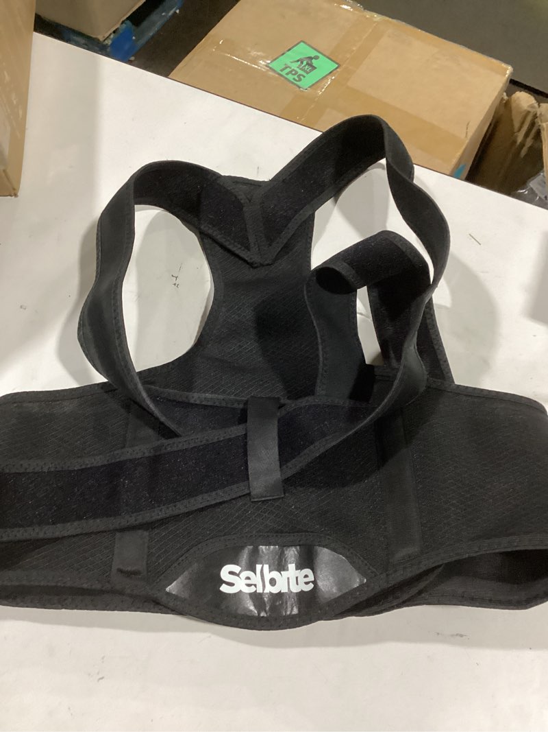 https://lotting-media.assets.bidfta.com/lotting_cb582d0a-ce60-4f01-a200-c78d5b920351