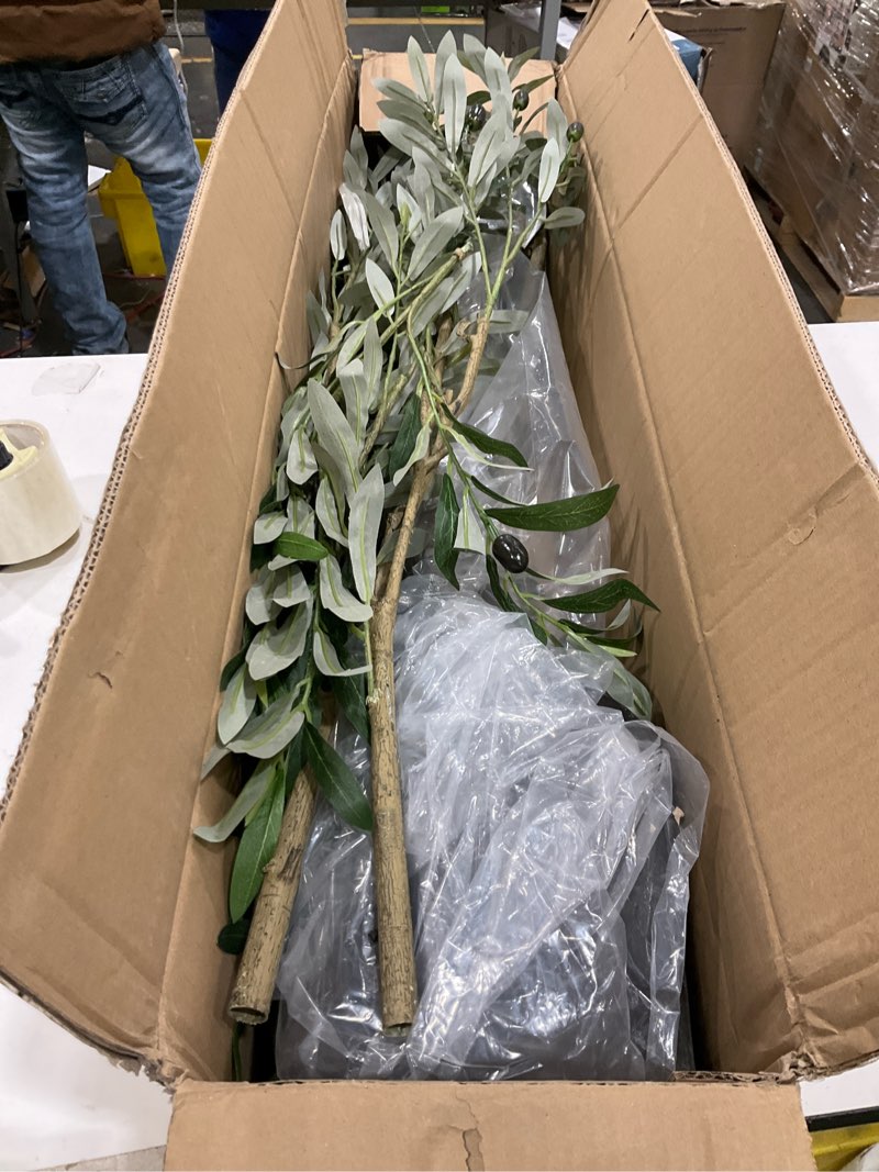 Condition photo showing Good Condition for Artificial Olive Tree Indoor, 7FT Tall Faux Plant with Natural Wood Trunk, Leaves and Lifelike Fruits, Large Potted Indoor Fake Plant for Home Office Store Decor (7 ft)