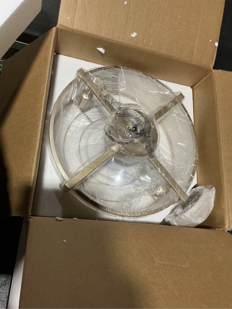 SYDACG 20" Caged Ceiling Fans with Lights, Gold Fandelier Ceiling Fan with Light, Boho Chandelier Fa