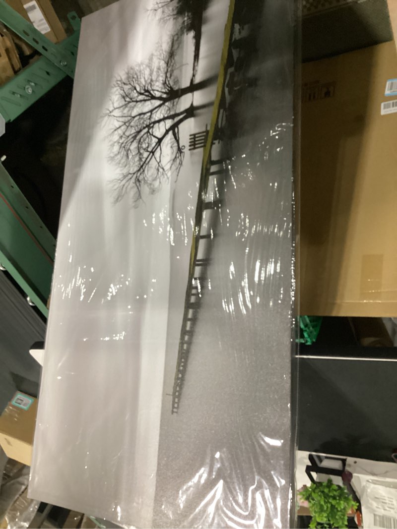 Condition photo showing New/Like New for dzl art s74975 canvas prints modern minimalist black and white lake trees landscape wall art painting for living room bedroom decor office wall decor home decoration 60"l x 30"w lake trees