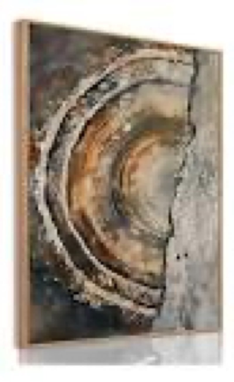 ibhjsart framed tree ring canvas wall art vintage colorful wood stump painting prints modern minimalist pictures neutral nature rustic farmhouse decor living room bedroom bathroom office 24x36