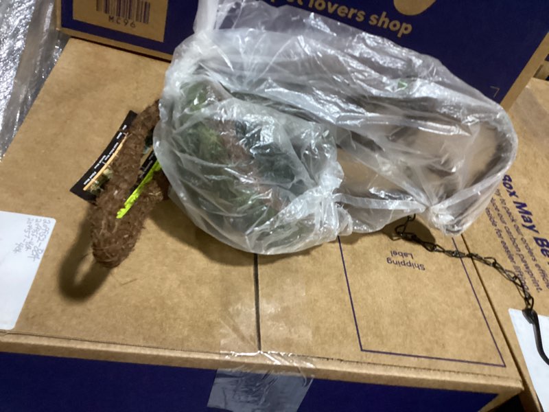 Condition photo showing New/Like New for Galapagos Natural Moss Bird Feeders