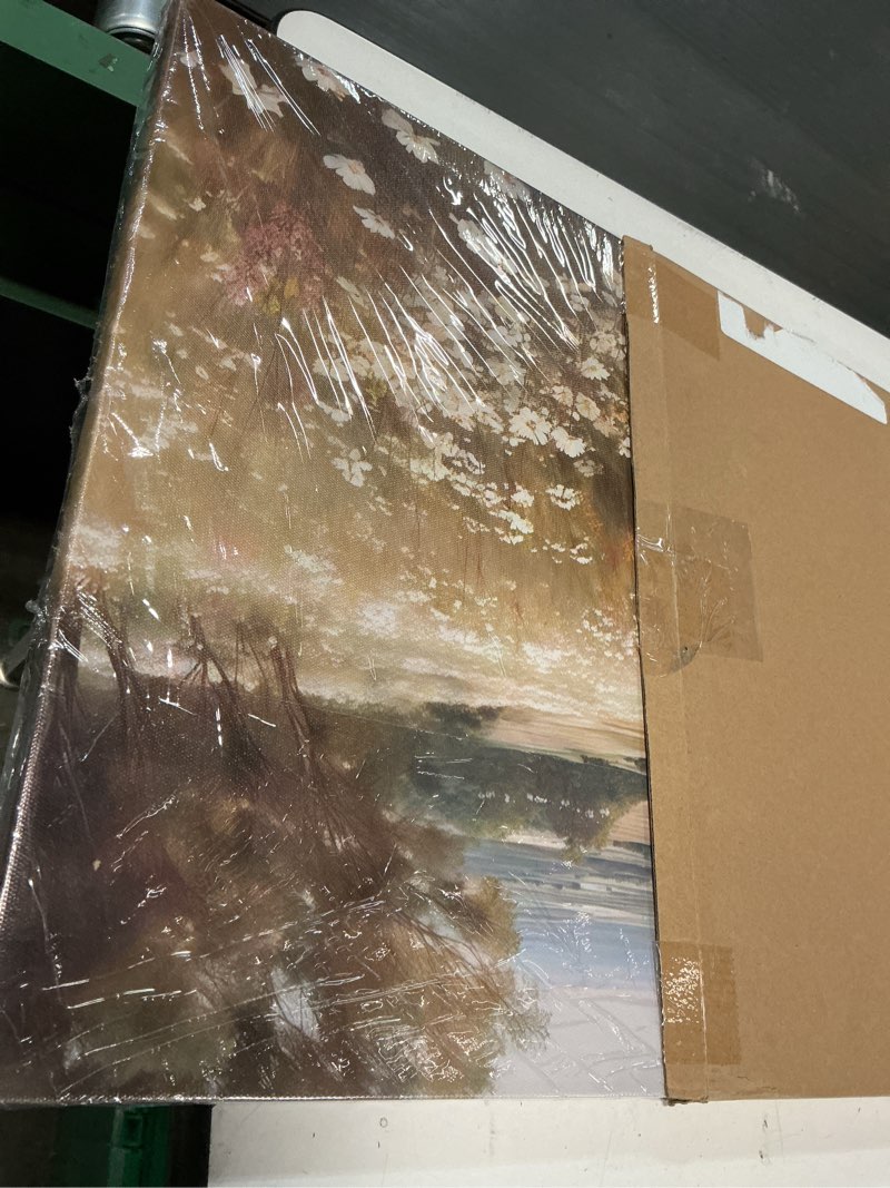 Condition photo showing Good Condition for christian jesus canvas wall art jesus in wildflower field painting picture wall decor lnspirational pastoral religious poster print artwork for church prayer room living room bedroom home decoration jesus walking in a field of flowers 24"l x 16"w