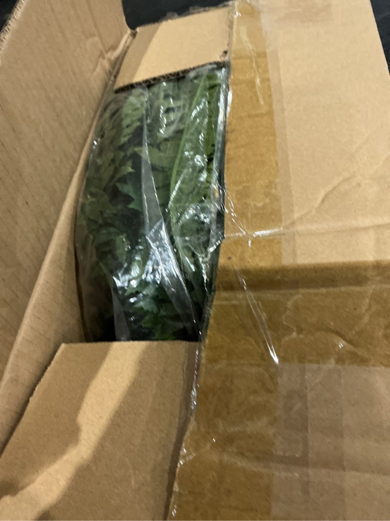 Condition photo showing As Is for livole 60" 2-in-1 fake ferns with spider plant, artificial ferns for outdoors large faux boston fern with 118 branches realistic uv resistant for planter indoor home garden porch hanging decor, 1 pcs 60"-118 branches-1 pcs
