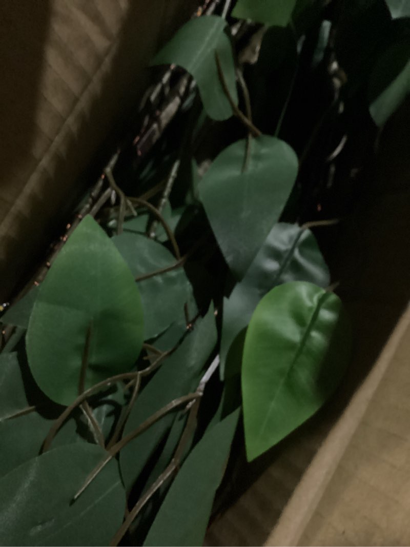 Condition photo showing Good Condition for Hairui Artificial Ficus Silk Tree Lights 4FT 140LED Fairy Lights, Faux Plant Tree with Lights for Home Room Spring Summer Decoration Inside 4FT Ficus Silk Tree