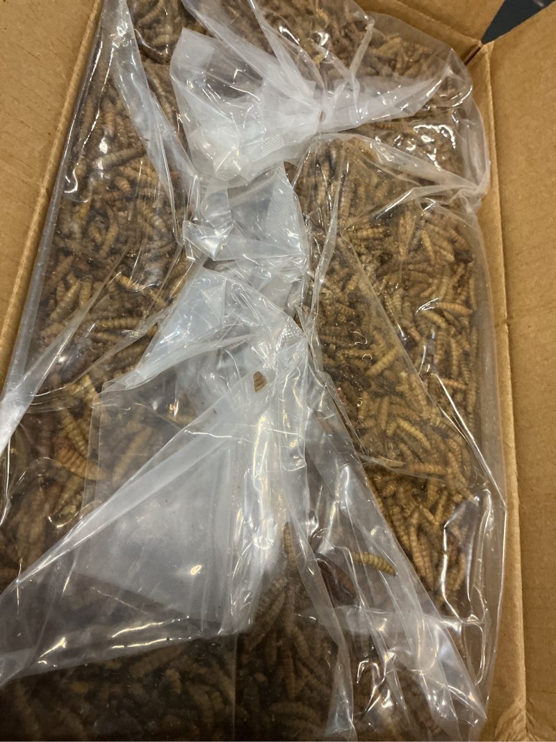 Condition photo showing New/Like New for best by mar 1/2028)10lb dried black soldier fly larvae for chickens - 85x more calcium than mealworms for strong eggshells, high-protein chickens treats for laying hens, birds, ducks 10 pound (pack of 1)