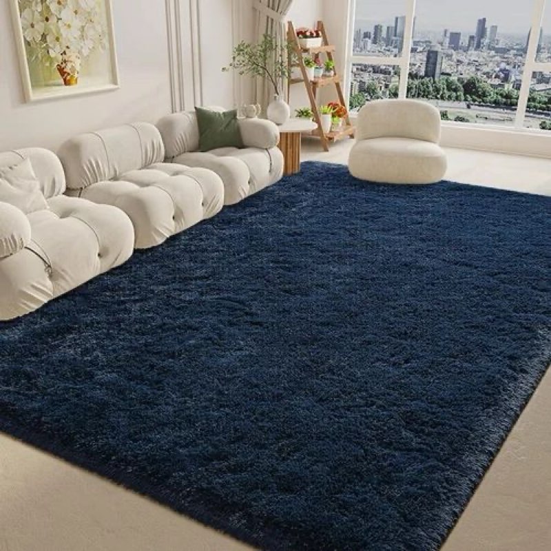 Sour Lemon 8x10 Area Rugs for Living Room, Soft Large Area Rug Fluffy Rugs for Bedroom?Machine Washa